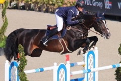 Chilli Willi (sire)