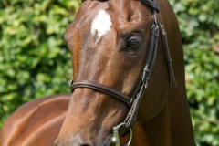 Vittorio.