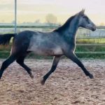 1fcf01d2-8a45-43c6-8426-3654f4f2eb44